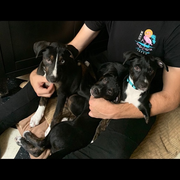 Hi I’m Charlie - Picture 2 of 6